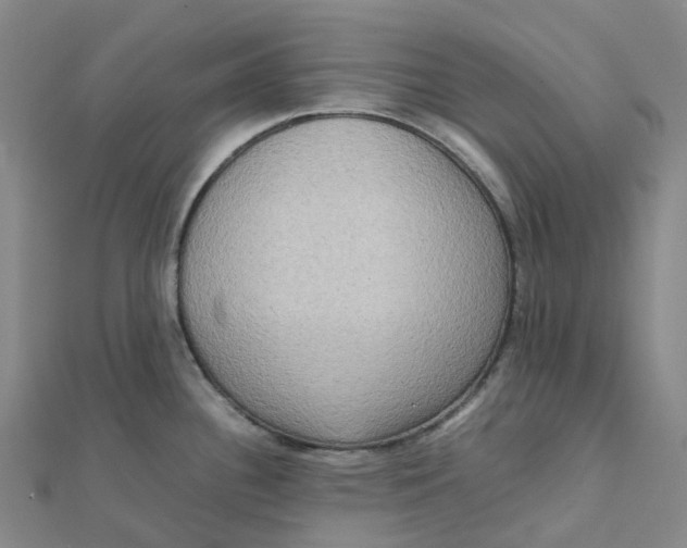 X0000112091340200909011056