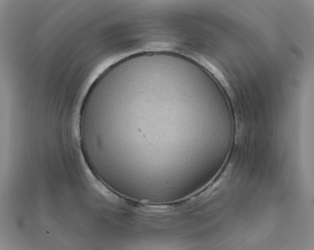 X0000112091342200909011056