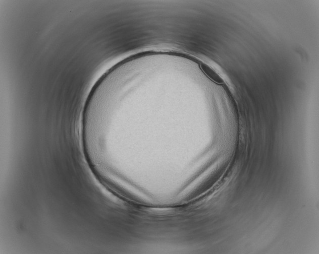 X0000112091343200909011056