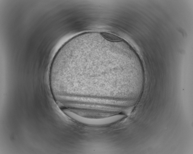 X0000112091344200909011056