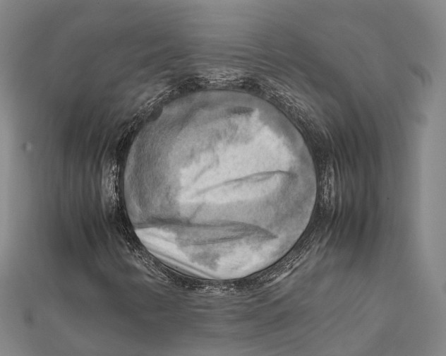 X0000112091346200909011056