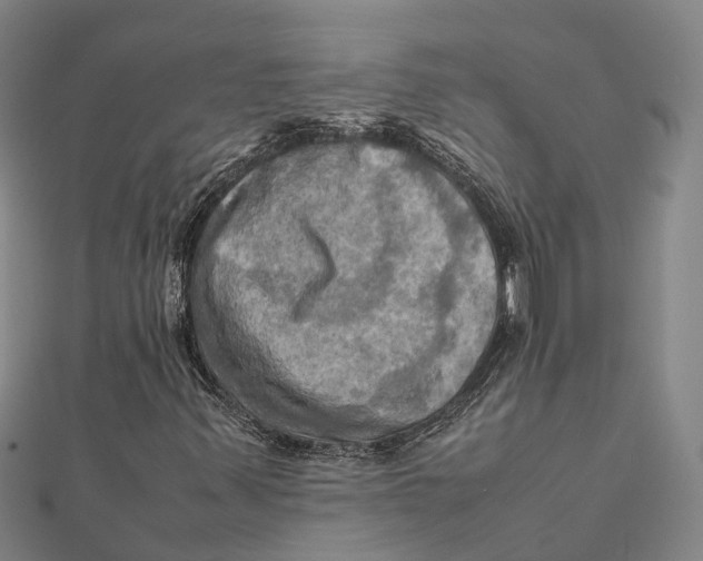 X0000112091347200909011056