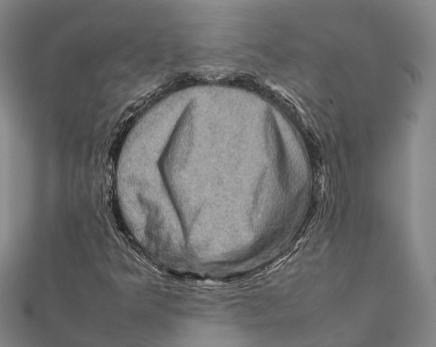 X0000112091349200909011056