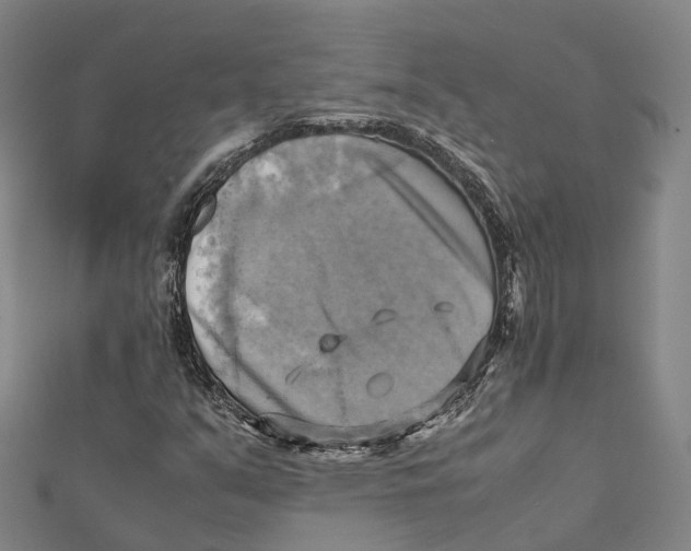 X0000112091351200909011056