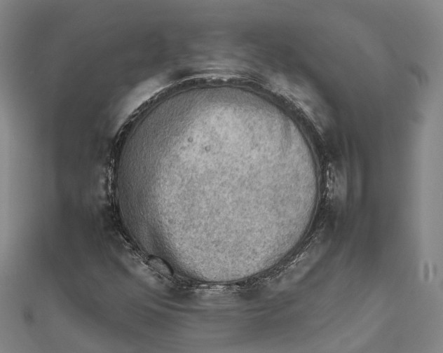 X0000112091352200909011056
