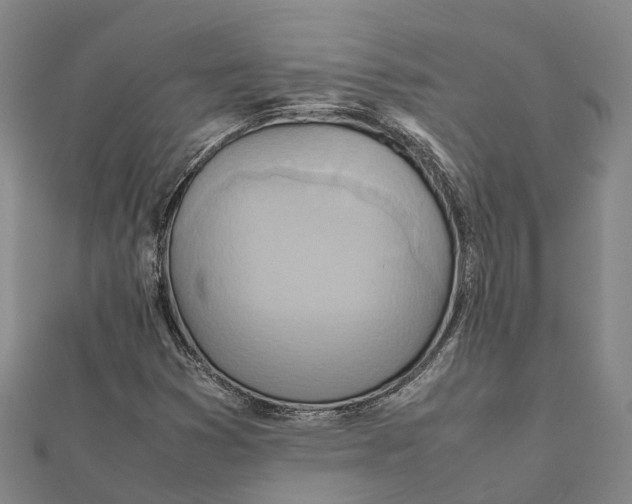 X0000112091353200909011056