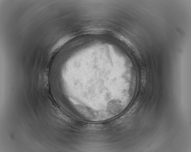 X0000112091354200909011056