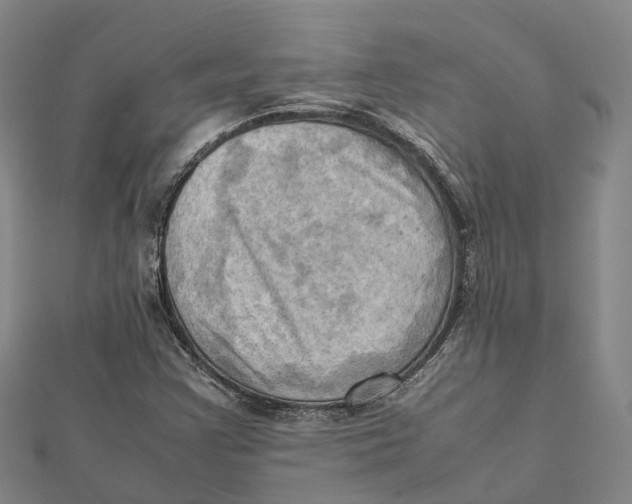 X0000112091355200909011056