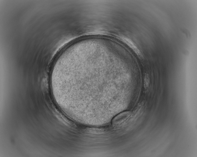 X0000112091356200909011056