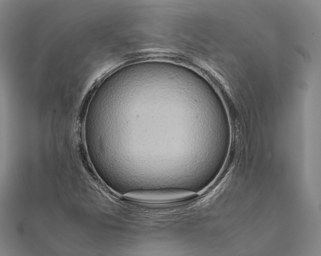 X0000112091357200909011056