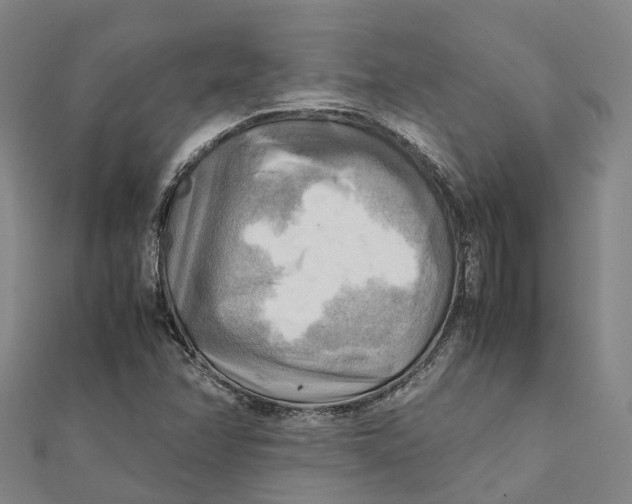 X0000112091358200909011056