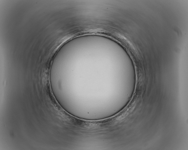 X0000112091361200909011056