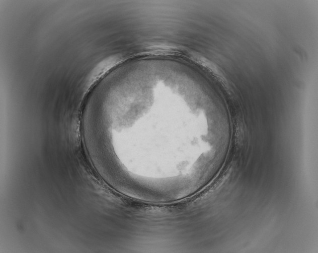X0000112091362200909011056