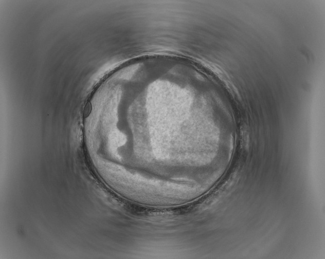 X0000112091363200909011056