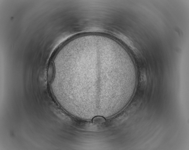 X0000112091364200909011056