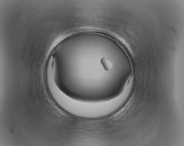X0000112091365200909011056