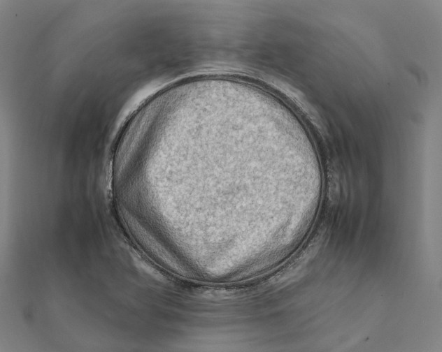 X0000112091366200909011056