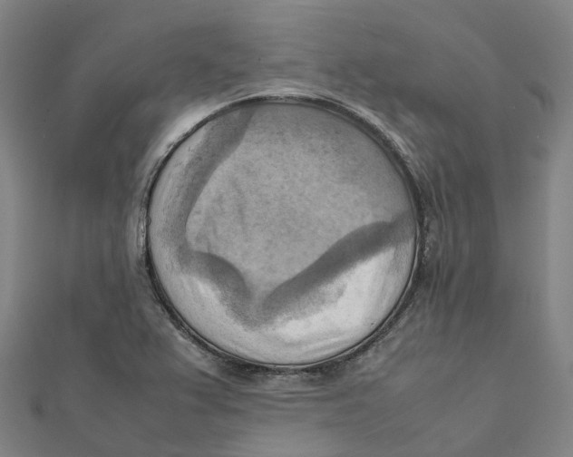 X0000112091367200909011056
