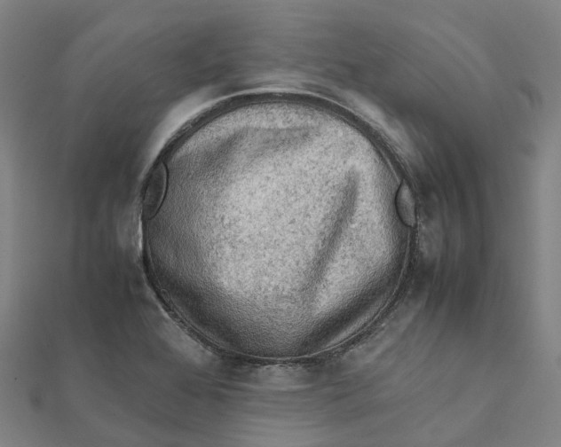 X0000112091368200909011055