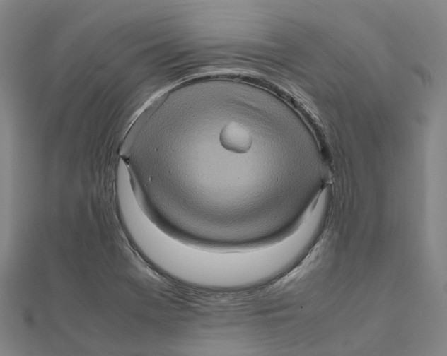 X0000112091369200909011055