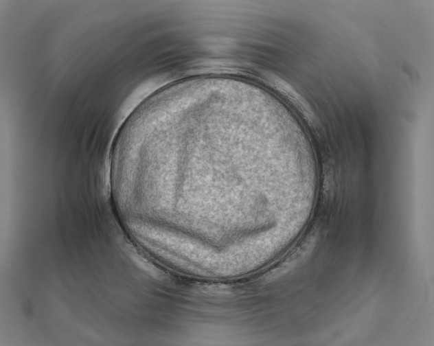 X0000112091370200909011055