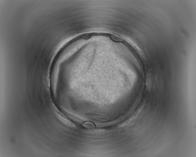X0000112091372200909011055