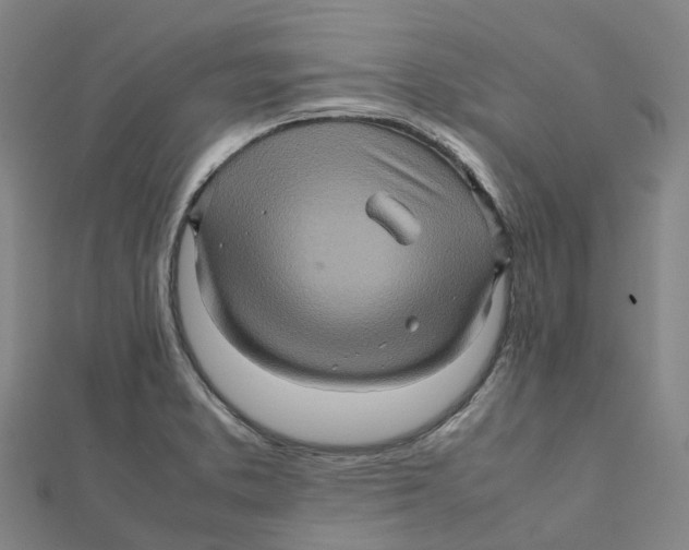 X0000112091373200909011055