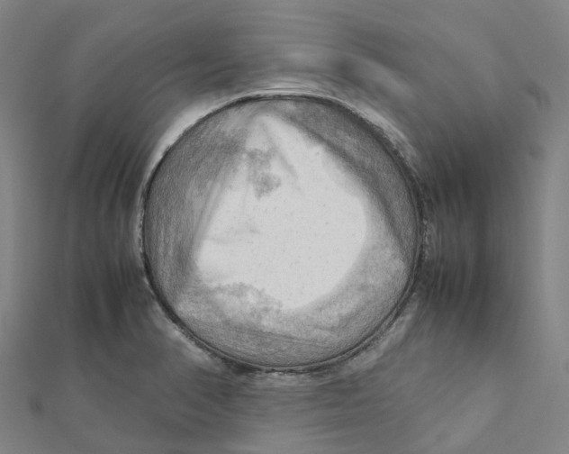 X0000112091374200909011055