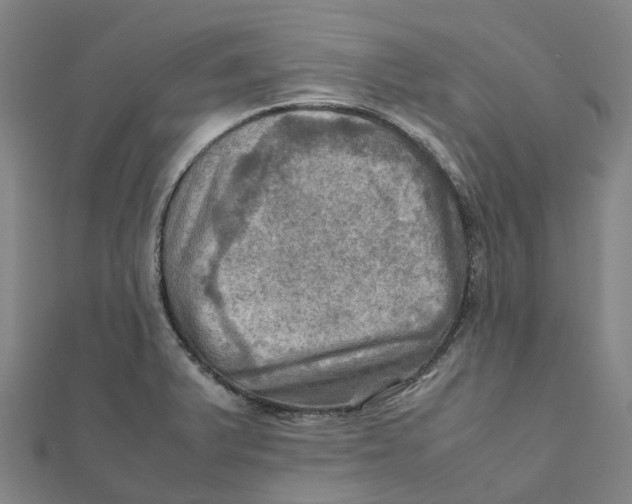 X0000112091375200909011055
