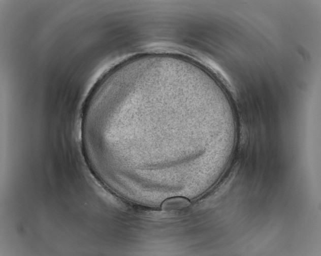 X0000112091376200909011055