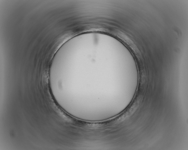 X0000112091377200909011055