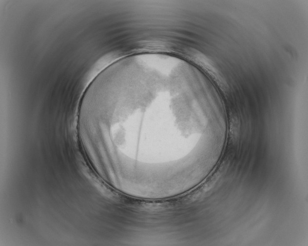 X0000112091378200909011055