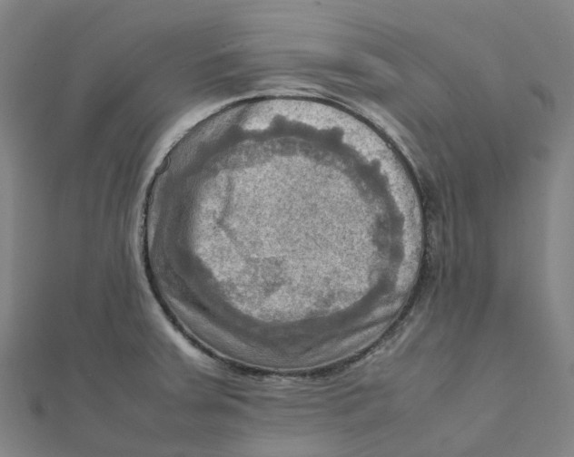 X0000112091379200909011055