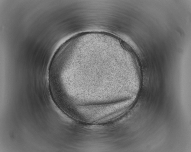 X0000112091380200909011055