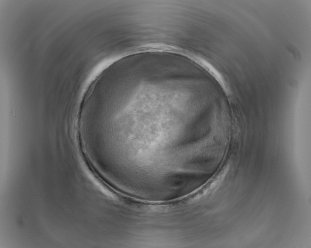 X0000112091381200909011055