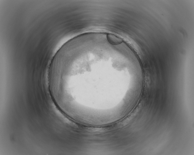 X0000112091382200909011055