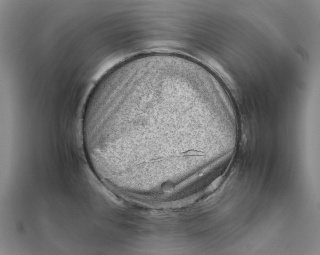 X0000112091384200909011055