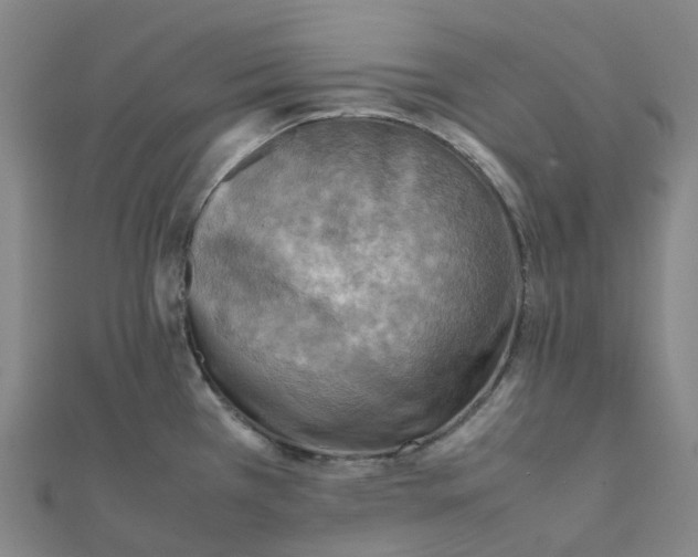 X0000112091385200909011055