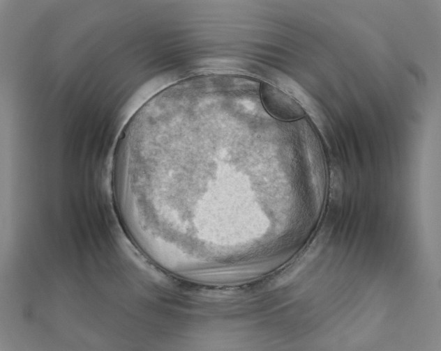 X0000112091386200909011055