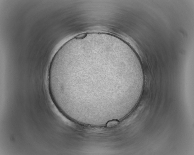 X0000112091387200909011055