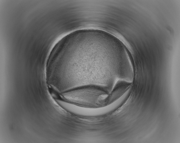 X0000112091388200909011055
