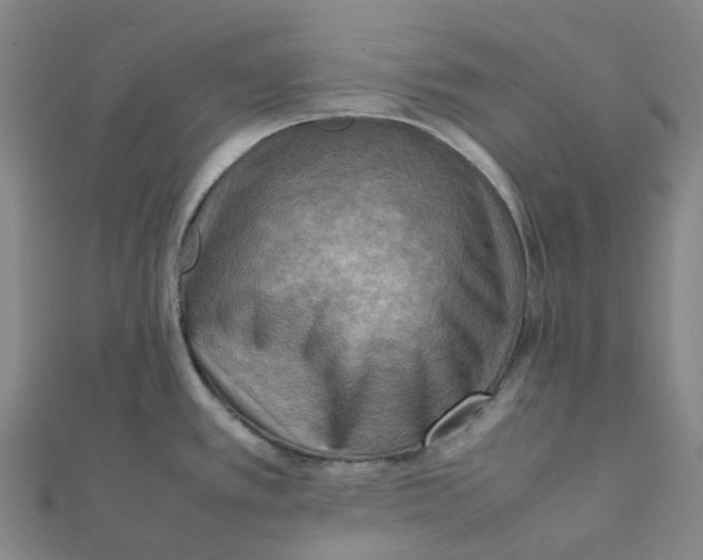 X0000112091389200909011055