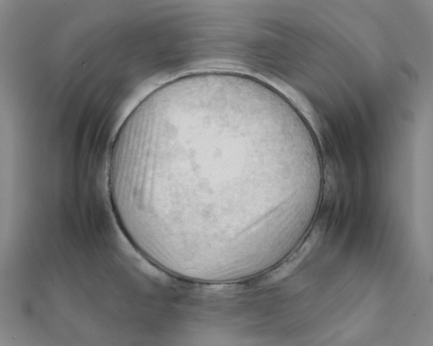 X0000112091390200909011055