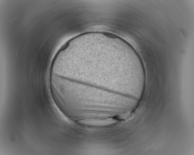 X0000112091392200909011055