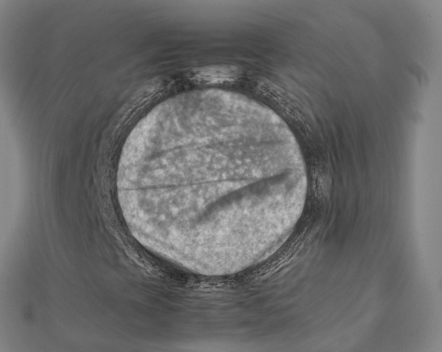 X0000112091393200909011055