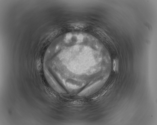 X0000112091395200909011055