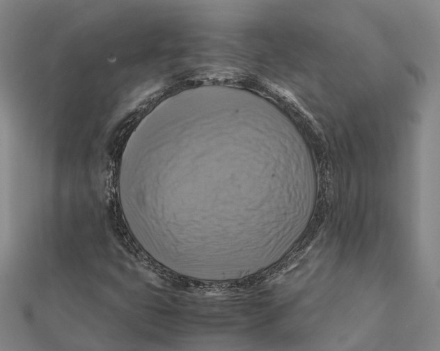 X0000112091399200909011055