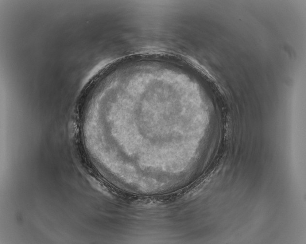 X0000112091400200909011055