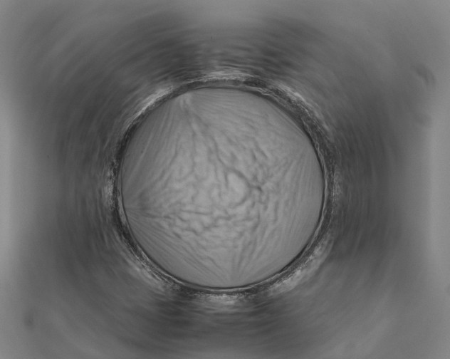 X0000112091401200909011055