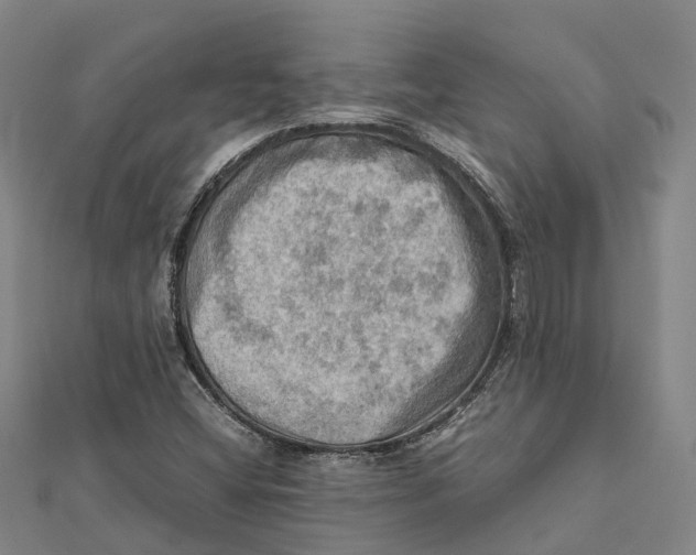 X0000112091404200909011055